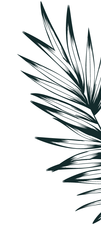 rechts-1-gretels-parallax